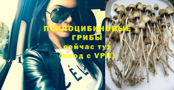 ГАЛЛЮЦИНОГЕННЫЕ ГРИБЫ Алексеевка