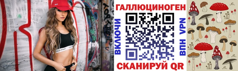 Галлюциногенные грибы Psilocybe  как найти   Андреаполь 